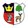 ¸