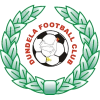 ˵
