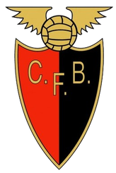 CF���ƿ�