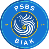 PSBSͿ׷