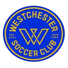 ����˹��