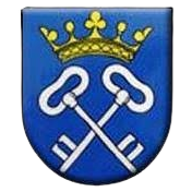 ˹