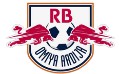 RB�����������