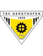TSV˹