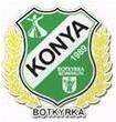 KIF����˹��