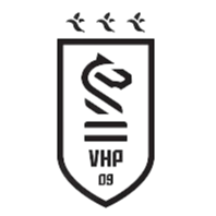 ���ɹ��ն�