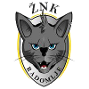 ZNK����ķҮ