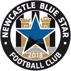 Ŧ��˹������