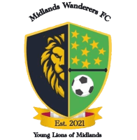 �׵���������FC